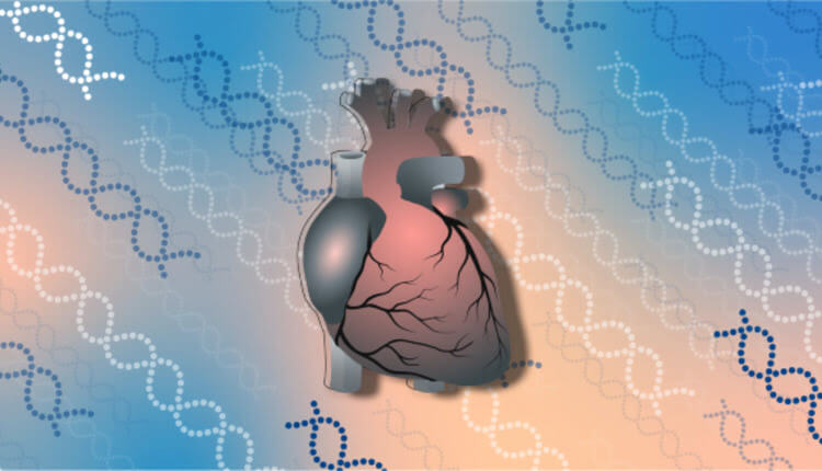 ارتباط مرگ در اثر بیماری‌های قلبی ناشناخته با ژنتیک