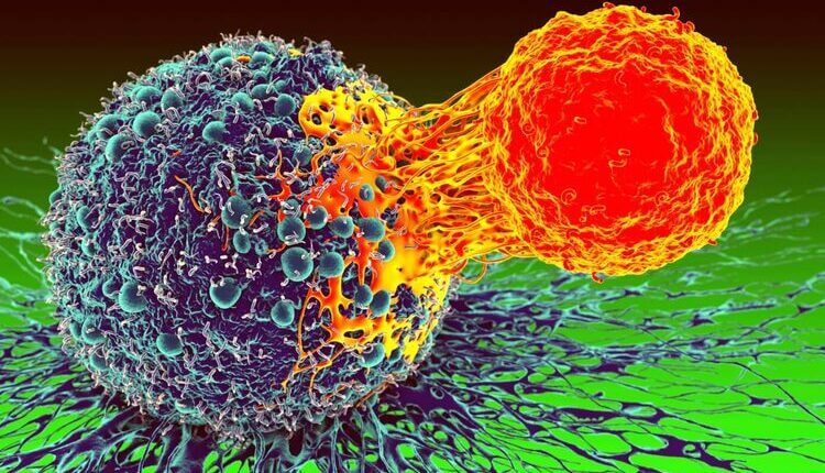 استفاده از سلول‌های T در مبارزه با سرطان