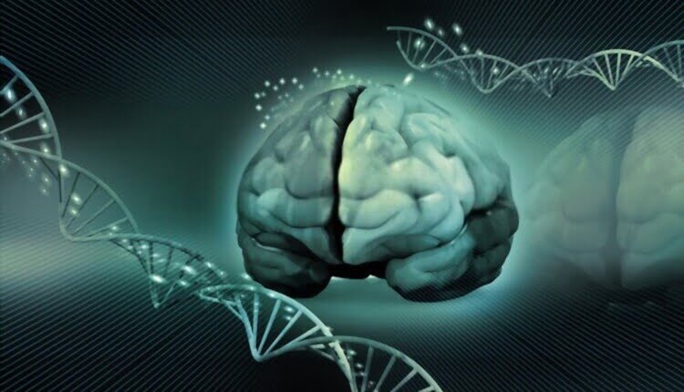 ویرایش ژنوم استراتژی جدید برای درمان آلزایمر