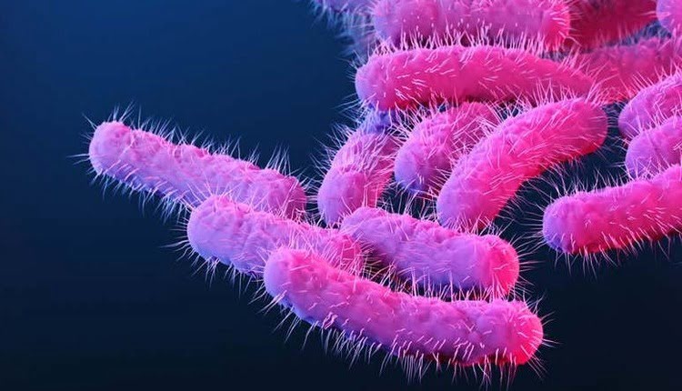 باکتری‌های مقاوم به آنتی‌بیوتیک