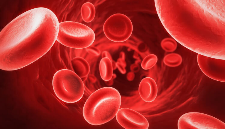 گلبول‌های قرمز خون