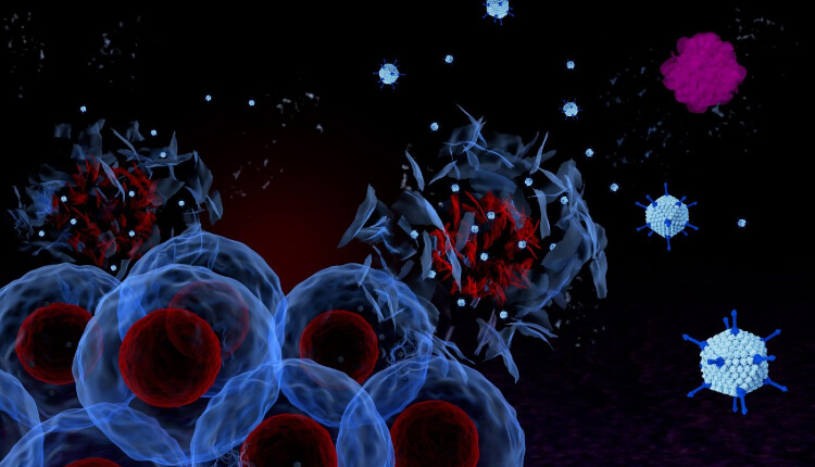 آدنوویروس‌های آنکولیتیک سلول‌های تومور را از بین می‌برند.