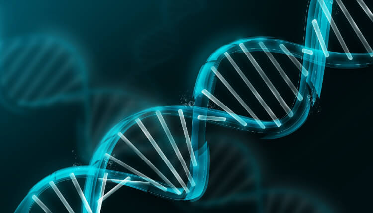 ساختار دورشته DNA