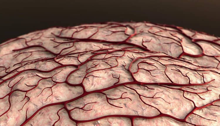 تاثیر رگ‌های خونی در مغز بر آلزایمر