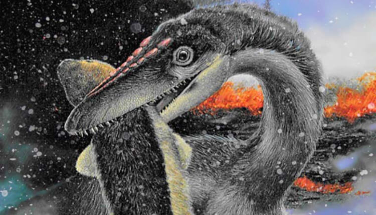 پرهای این دایناسور تروپود (theropod) ممکن است به زنده ماندن آن در زمستان‌های سرد کمک کرده باشد. تصویر از لری فلدر (Larry Felder).