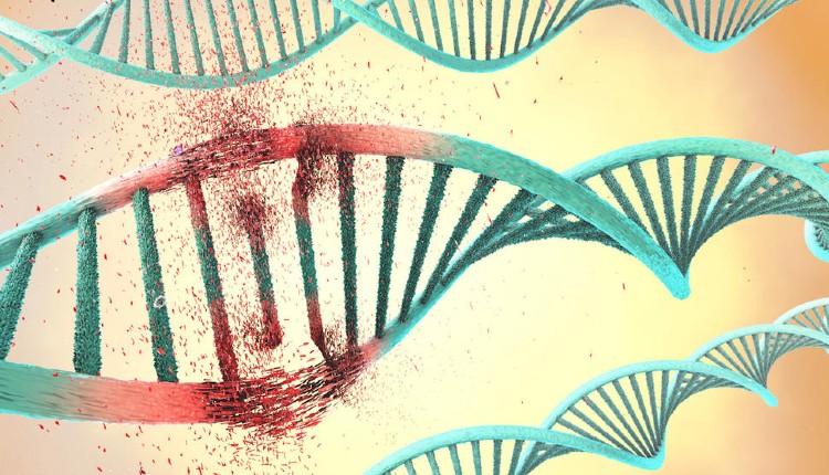 آسیب‌های DNA در سلول‌های بنیادی