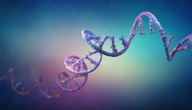 تصویری سه‌بعدی از رشته‌های اسید ریبونوکلئیک (RNA). تصویر از کریستف بورگستد (Christoph Burgstedt).