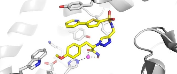 کوچک مولکول مهارکننده آنزیم متصل به ERAP2