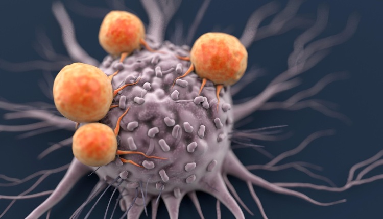 سلول‌های CAR-T برای درمان سرطان