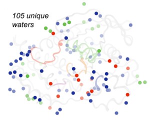 جایگاه‌های مولکول‌های آب روی پروتئین