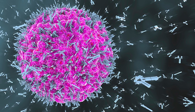 تصویری از آنتی‌بادی‌هایی که به ذرات ویروس حمله می‌کنند. (تصویر از Christoph Burgstedt از Getty Images)