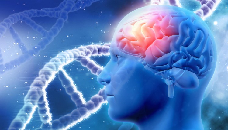 رابطه آسیب به DNA و حافظه بلندمدت